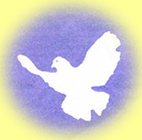 Friedenspioniere
