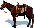 Pferd