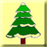 tannenbaum.jpg