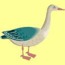 gans gans.jpg